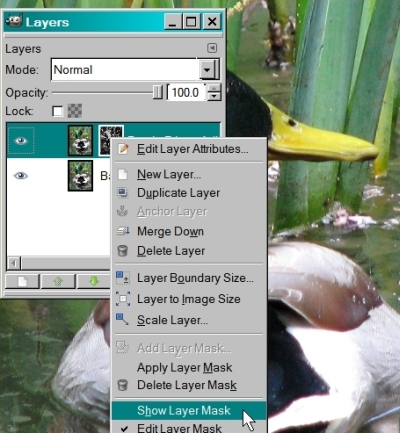 Show Layer Mask
